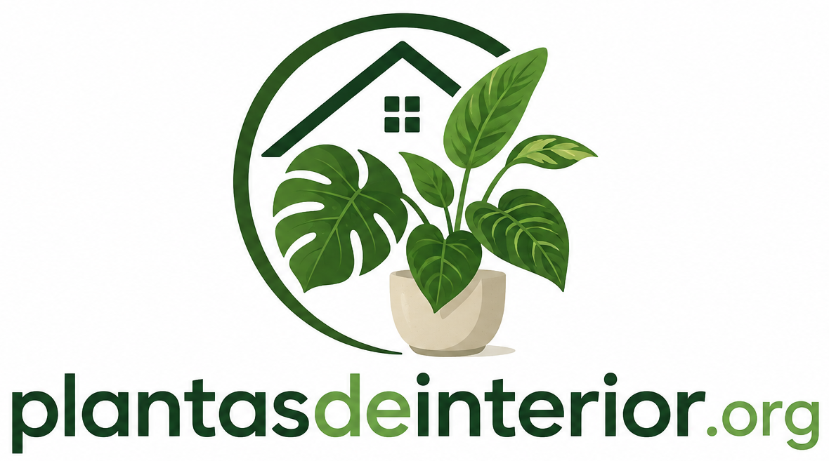 Plantas de Interior