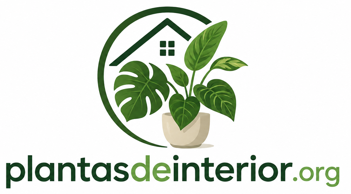 Plantas para interiores Bogota