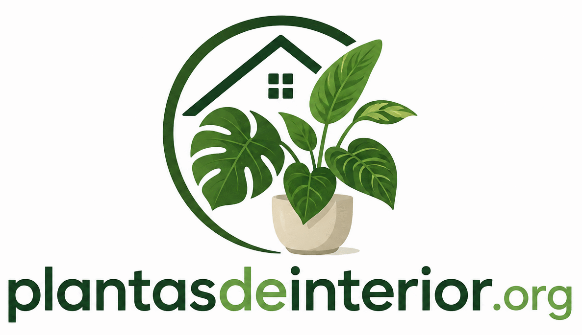 Plantas de Interior